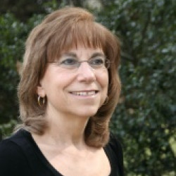 Carol R. Saivetz